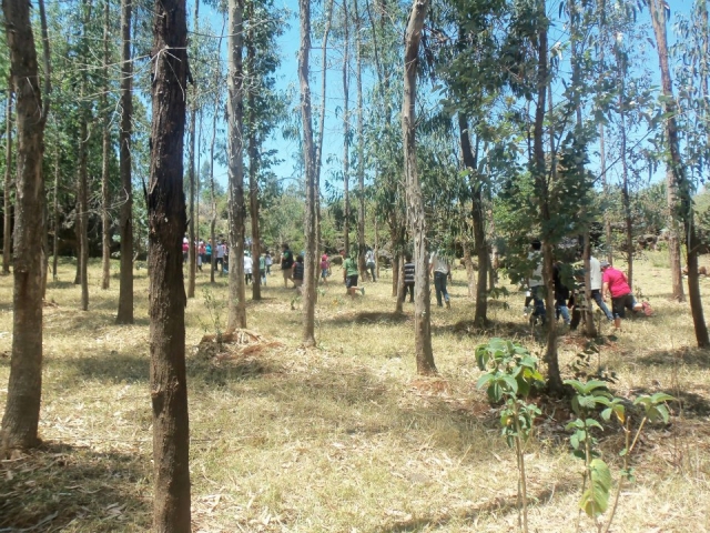 Naturtouren 